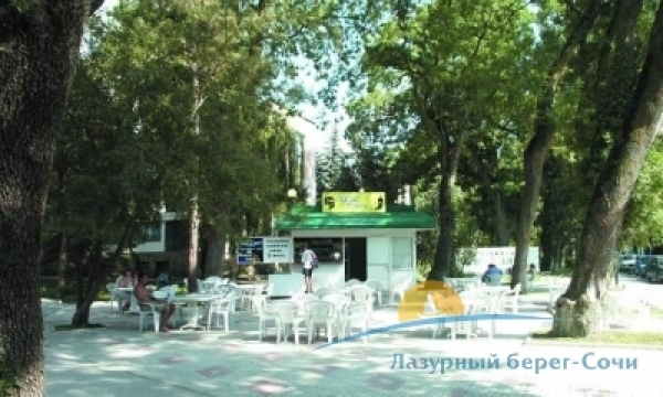 11.JPG